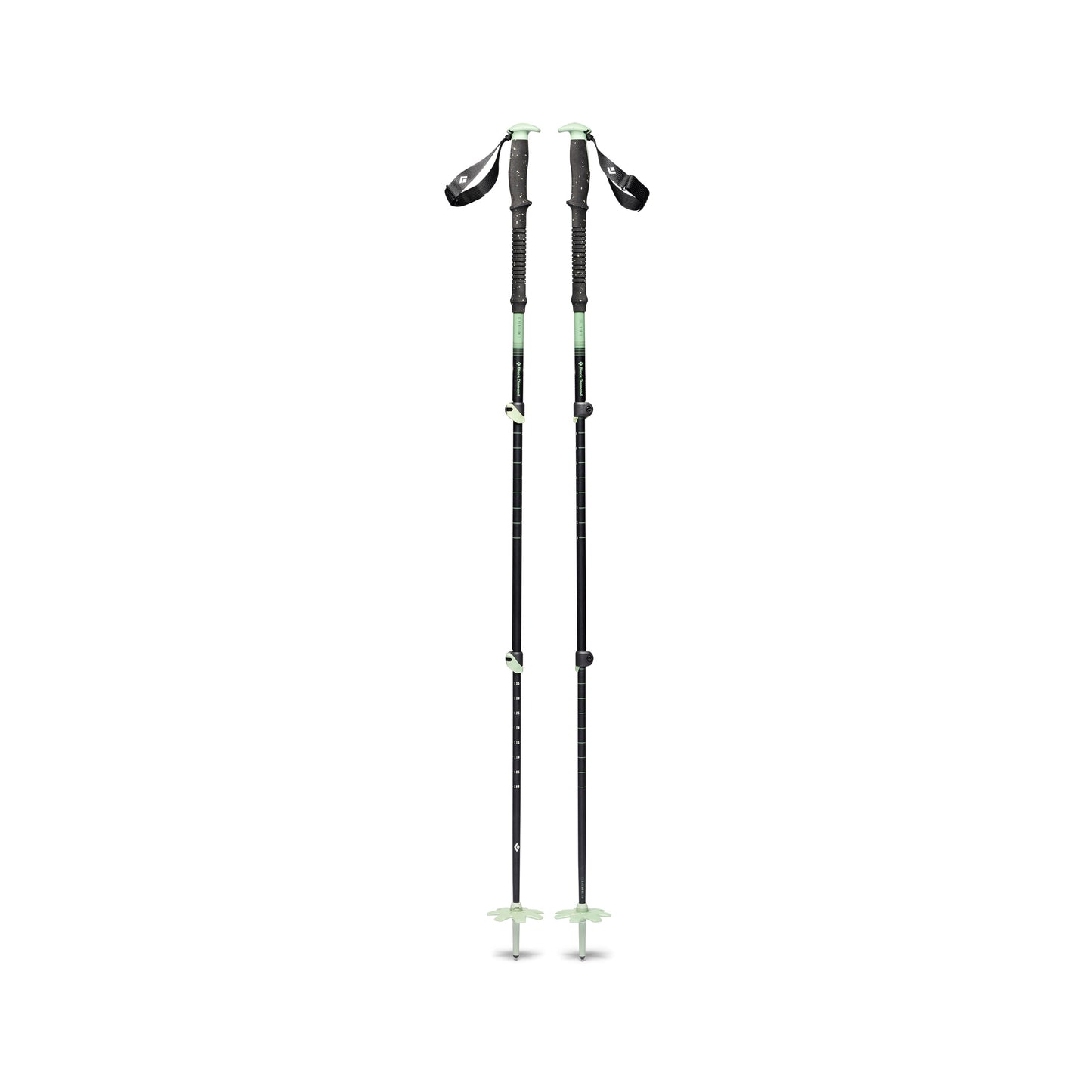 Black Diamond EXPEDITION 3 SKI POLES Color: 3057-Desert Sage, Size: 125