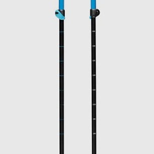 Black Diamond Traverse Ski Poles
