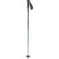 Swix Techlite Pro M's Alpine Pole